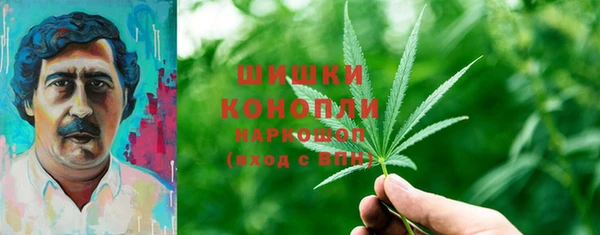 дурь Пересвет