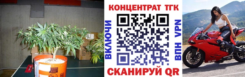Купить где  Североуральск  ТГК вейп с тгк 