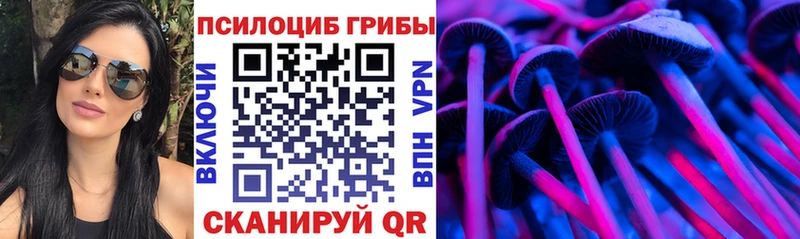 Купить закладки  Североуральск  Галлюциногенные грибы прущие грибы 